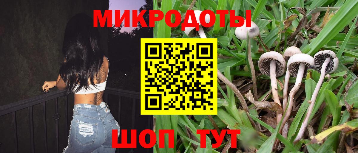 Псилоцибиновые грибы GOLDEN TEACHER  Вход с VPN  Краснокаменск 