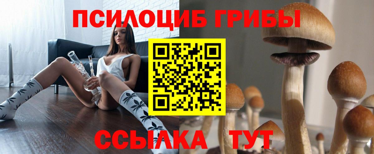Псилоцибиновые грибы прущие грибы Краснокаменск
